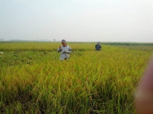 KHN giữ vai trò quyết định trong phát triển nông nghiệp Việt Nam.jpg